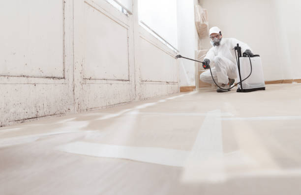 24/7 Emergency Black Mold Remediation experts in Knotts Island, NC
