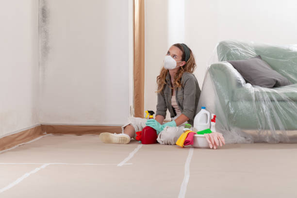 Reliable Black Mold Remediation contractor in Knotts Island, NC by 24 Hour Mold Removal